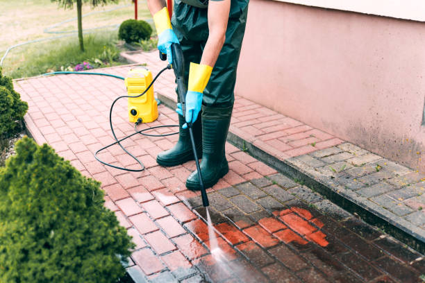 Best Roof Power Washing Services  in Mledgevle, IL