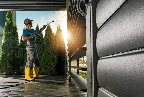 Best Affordable Pressure Washing  in Mledgevle, IL