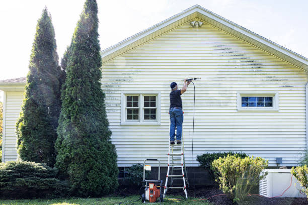 Best Exterior Home Cleaning  in Mledgevle, IL