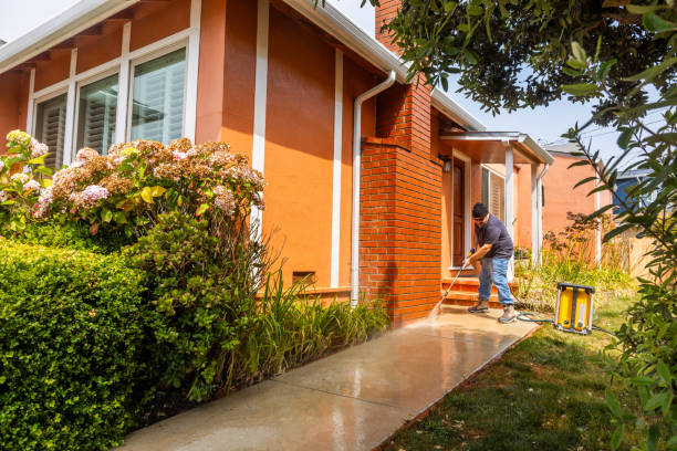 Best Roof Pressure Washing  in Mledgevle, IL