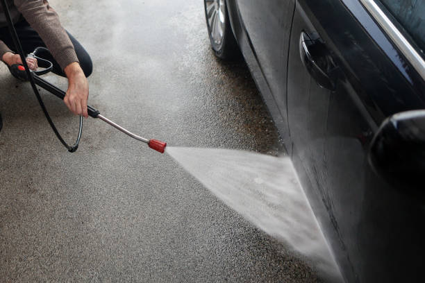 Best Fence Pressure Washing  in Mledgevle, IL